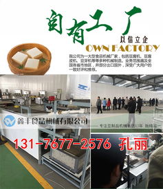 河南商丘豆腐皮机采购指南 厂家直销、商用价格与购买渠道